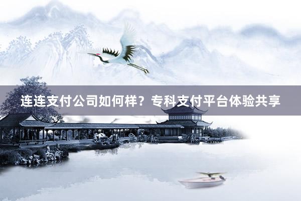 连连支付公司如何样？专科支付平台体验共享